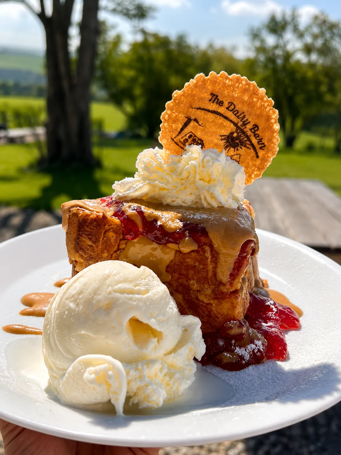 A cake slice served with ice cream, whipped cream and berry sauce